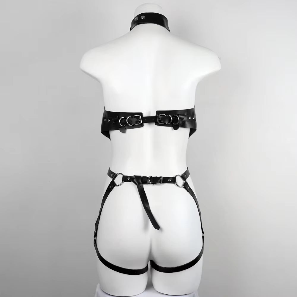 Harness