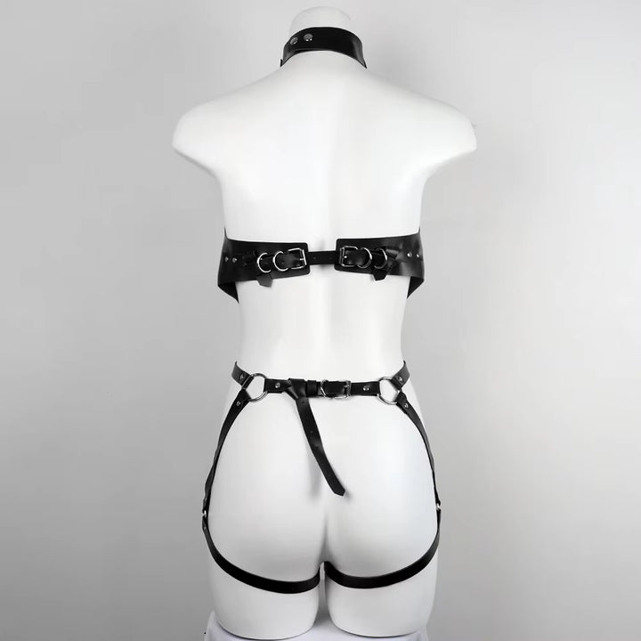 Harness